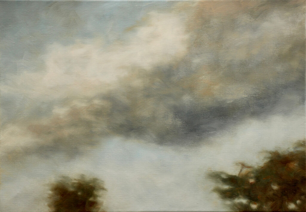 Nuages/Wolken - Peter De Koninck